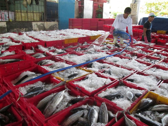 Nỗ lực gỡ thẻ vàng cho thủy sản