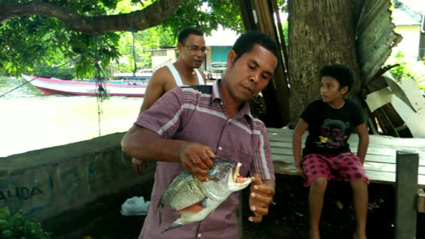 Con cá có hàm răng như người được phát hiện ở làng chài Indonesia