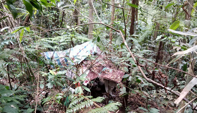 Phát hiện thi thể nam thanh niên giữa rừng tử vong từ 4 tháng trước