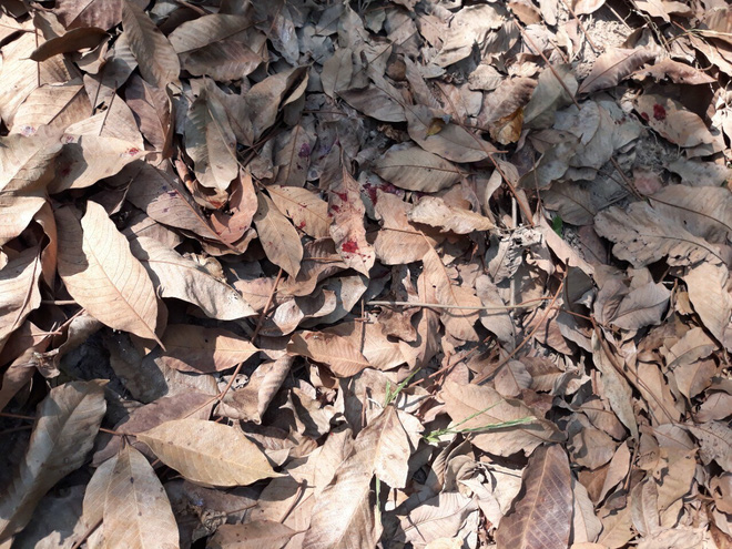 Một người chết vì câu nói tao chấp hết tụi bay