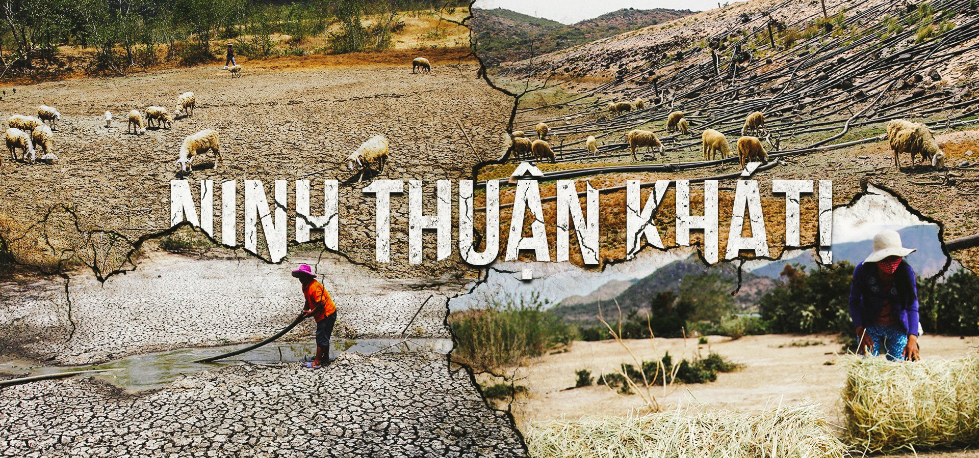Ninh Thuận khát cháy đầu mùa khô Ninh Thuận khát cháy đầu mùa khô