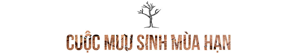 Ninh Thuận khát cháy đầu mùa khô Ninh Thuận khát cháy đầu mùa khô