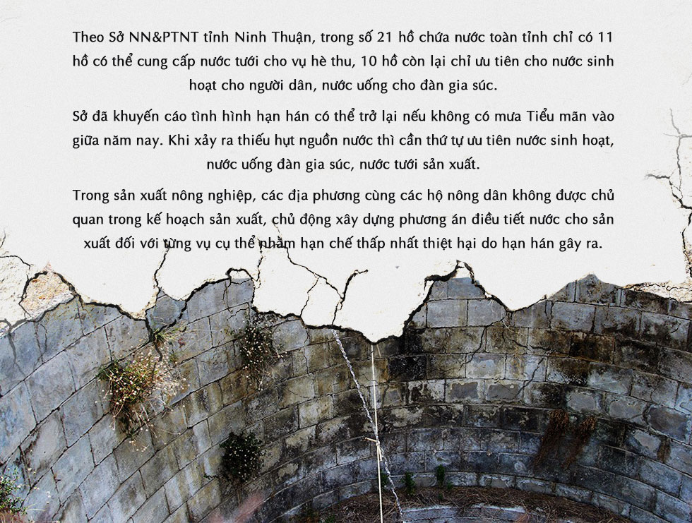 Ninh Thuận khát cháy đầu mùa khô Ninh Thuận khát cháy đầu mùa khô