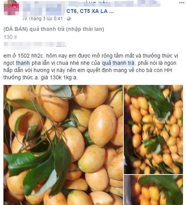 Bí ẩn loại quả giống hệt biwa Nhật: Cơn sốt trên vỉa hè Hà Nội