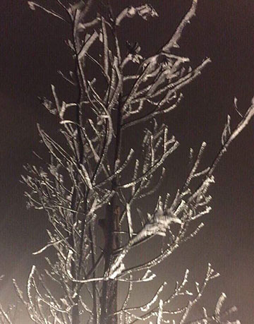 Fansipan dưới 0 độ, xuất hiện băng giá