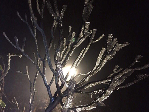 Fansipan dưới 0 độ, xuất hiện băng giá