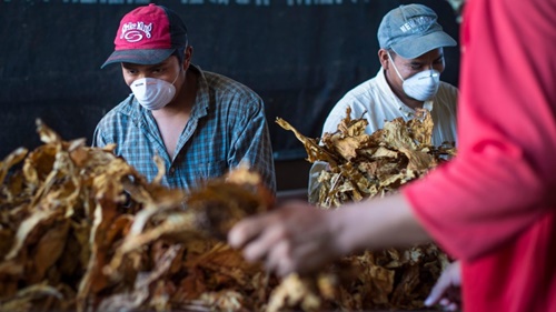 Đòn thương mại của Trung Quốc giáng vào người ủng hộ Trump