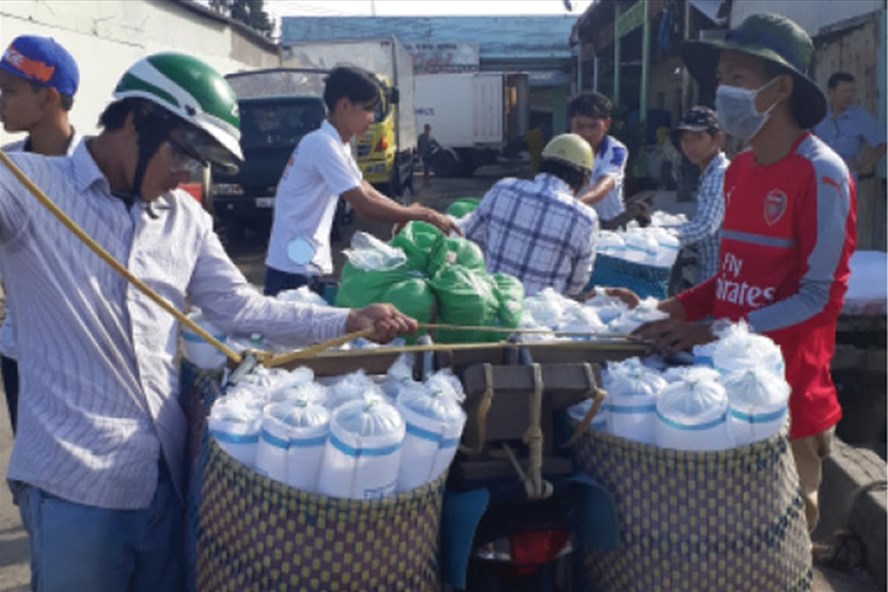 Tôm giống trôi nổi tiếp tục hoành hành người nuôi tôm