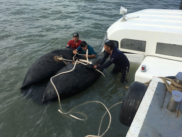 Phát hiện lỗ thủng trên thân tàu cao tốc bị chìm