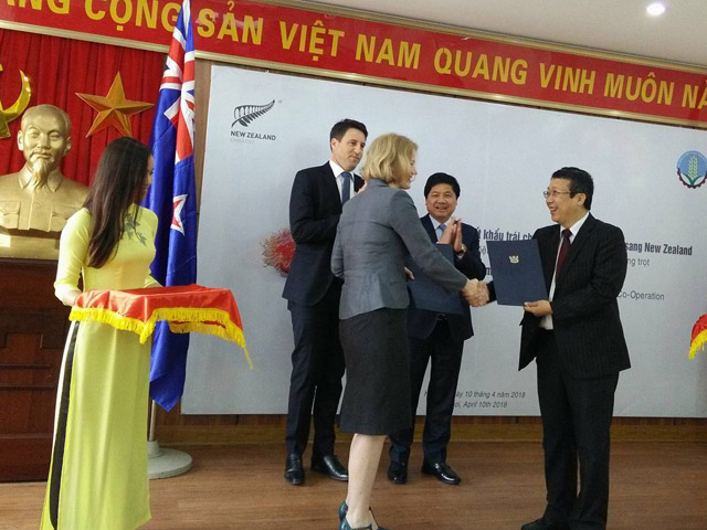 Chôm chôm chính thức có giấy thông hành sang New Zealand