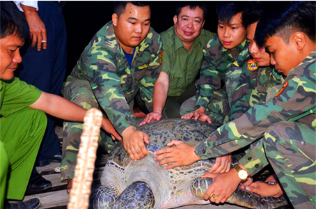 Rùa 120 kg được thả về biển ở miền Tây