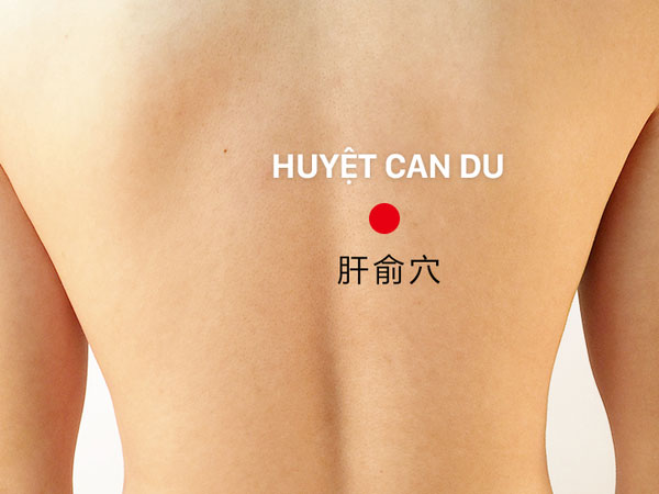 Chuyên gia tiết lộ 4 huyệt vị tốt nhất cho gan và thận: Người sau 30 tuổi nên tham khảo! Chuyên gia tiết lộ 4 huyệt vị tốt nhất cho gan và thận: Người sau 30 tuổi nên tham khảo!