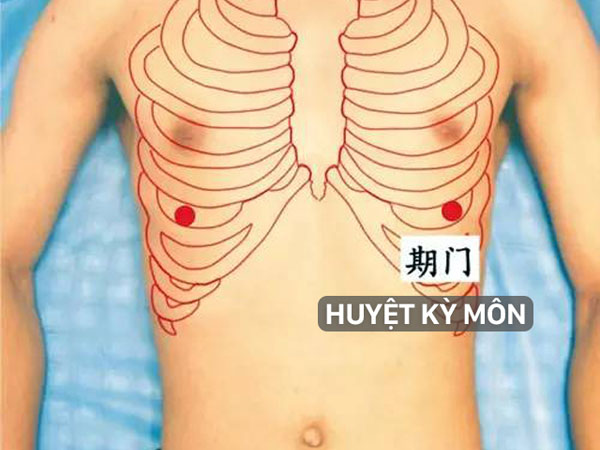 Chuyên gia tiết lộ 4 huyệt vị tốt nhất cho gan và thận: Người sau 30 tuổi nên tham khảo! Chuyên gia tiết lộ 4 huyệt vị tốt nhất cho gan và thận: Người sau 30 tuổi nên tham khảo!