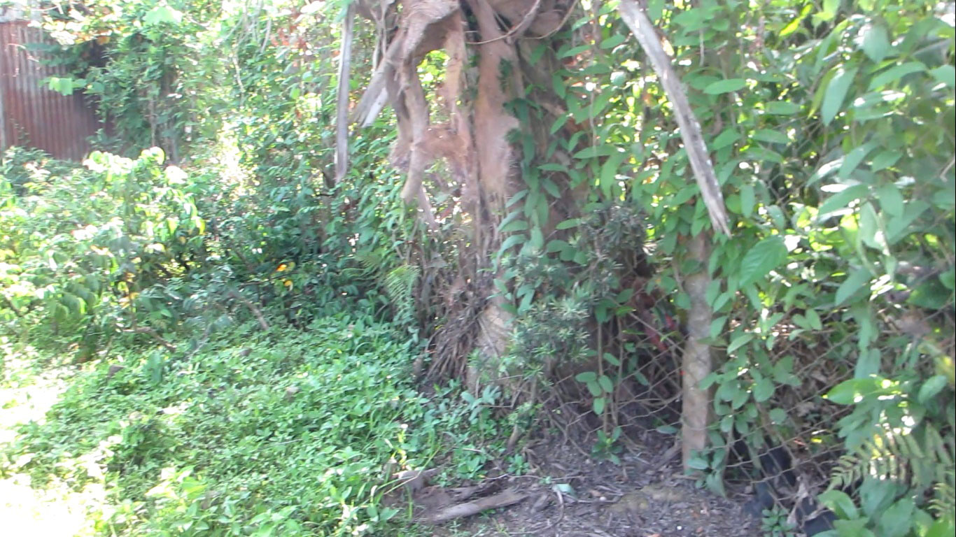 Vụ giết người, chặt đầu ở Đồng Tháp: Nhiều tình tiết cần làm rõ