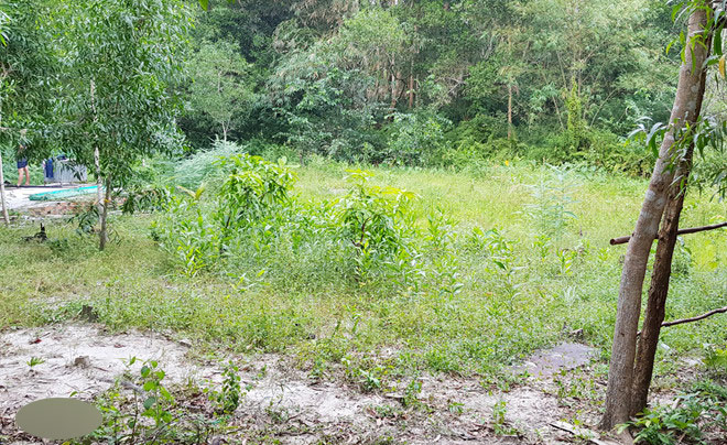 Sau lệnh thanh tra, đất Phú Quốc bắt đầu giảm sốt, cò sợ mất bạc tỷ