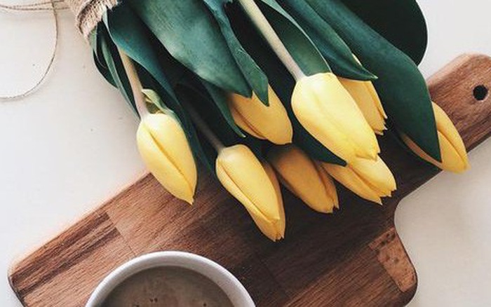 Thứ Tư của bạn (11/4): Kim Ngưu hoàn thành tốt kế hoạch Thứ Tư của bạn (11/4): Kim Ngưu hoàn thành tốt kế hoạch