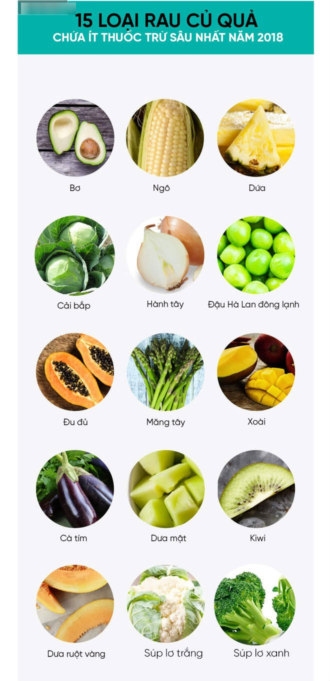 Mỹ công bố 12 loại rau củ quả nhiều thuốc trừ sâu nhất năm 2018: Người Việt nên tham khảo Mỹ công bố 12 loại rau củ quả nhiều thuốc trừ sâu nhất năm 2018: Người Việt nên tham khảo
