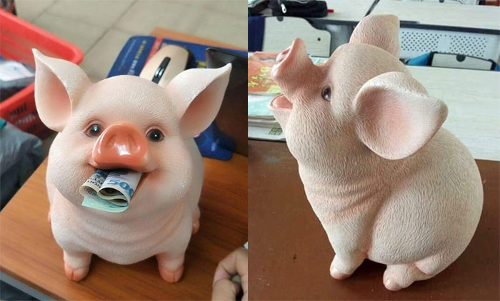 Chú lợn ăn tiền gây sốt: Quá yêu, chị em xếp hàng chờ mua