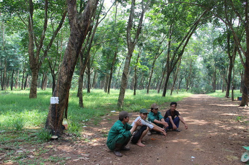 Bộ Tài chính ứng 4.500 tỷ đồng để giải phóng mặt bằng sân bay Long Thành