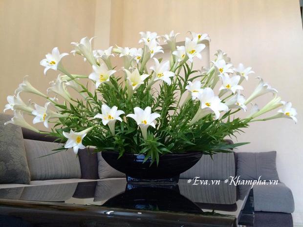 Tháng tư, cắm loa kèn tinh khôi - ngắm nữ hoàng tuyệt đẹp trên bình hoa của mẹ Hà Thành