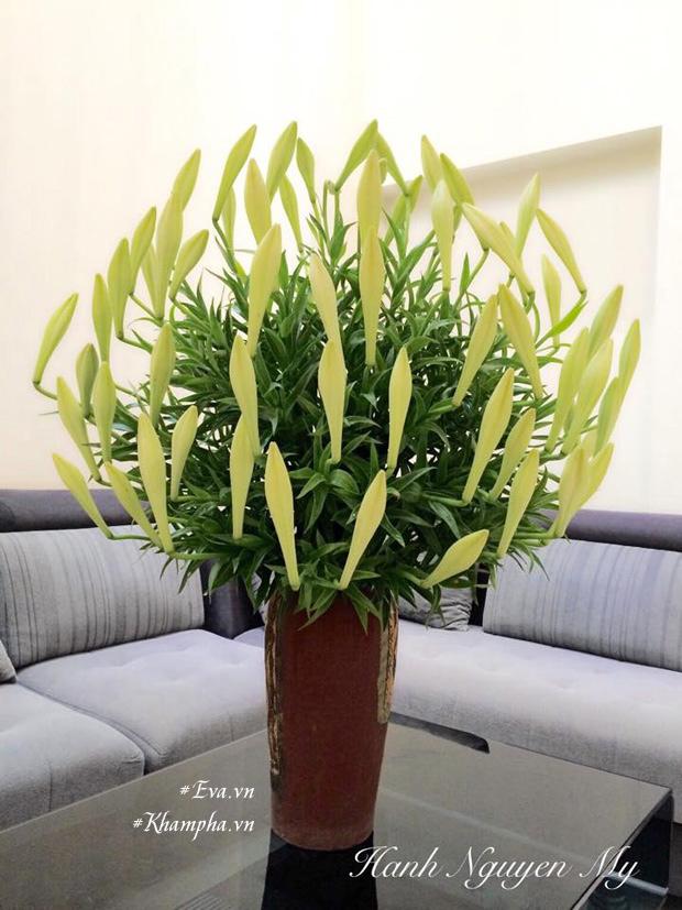 Tháng tư, cắm loa kèn tinh khôi - ngắm nữ hoàng tuyệt đẹp trên bình hoa của mẹ Hà Thành