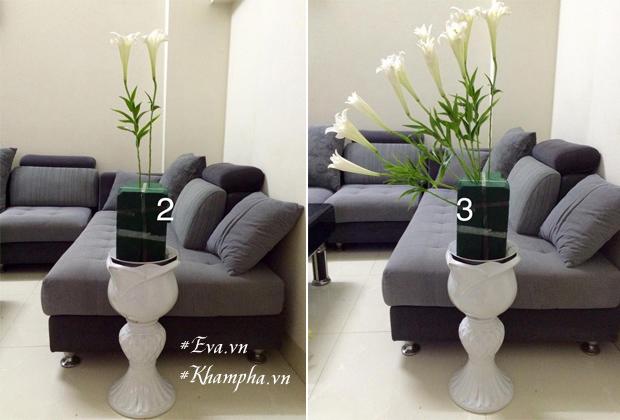 Tháng tư, cắm loa kèn tinh khôi - ngắm nữ hoàng tuyệt đẹp trên bình hoa của mẹ Hà Thành