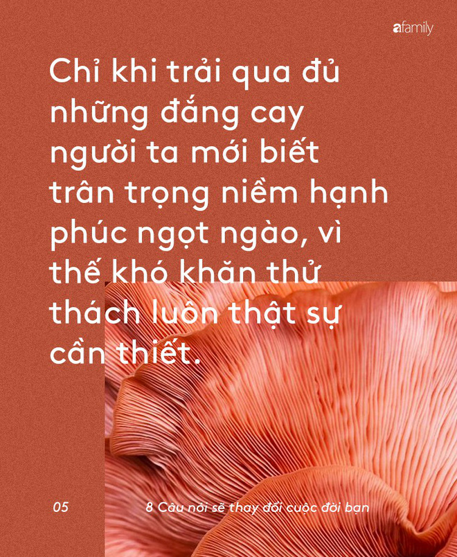 8 câu nói rõ ràng rất đơn giản nhưng lại có khả năng vực dậy ý chí mạnh mẽ bên trong bạn 8 câu nói rõ ràng rất đơn giản nhưng lại có khả năng vực dậy ý chí mạnh mẽ bên trong bạn