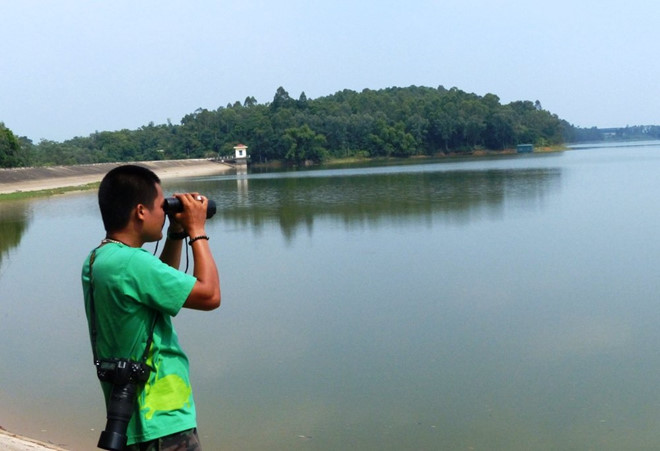 Phát hiện thêm cá thể cùng loài với rùa Hoàn Kiếm ngoài tự nhiên