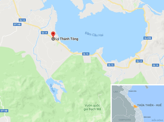 3 cây đa khổng lồ chuẩn bị rời Huế sau nửa tháng giam giữ