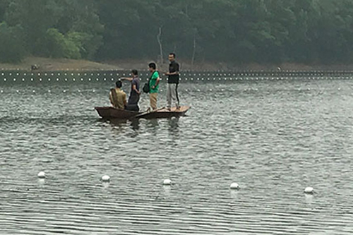 Giới bảo tồn hy vọng ghép đôi hai rùa Hoàn Kiếm hoang dã