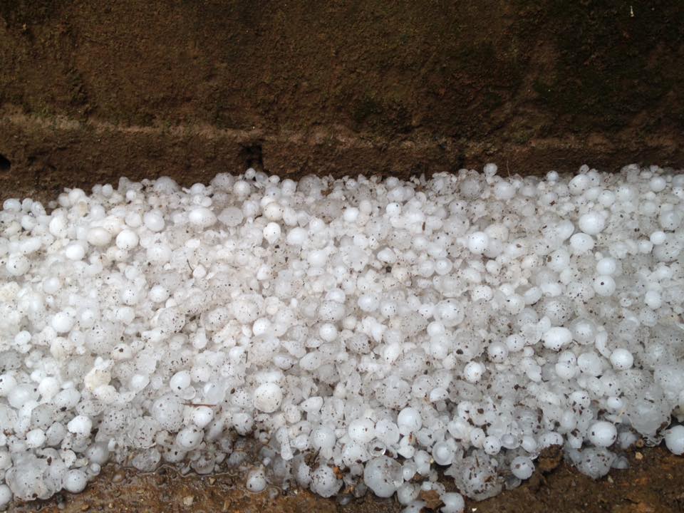 Xuất hiện mưa đá lớn lạ thường, hạt to như quả mận ở Mộc Châu