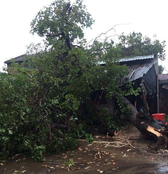 Mưa đá, lốc xoáy khiến hàng trăm ngôi nhà sập, nhiều người bị thương