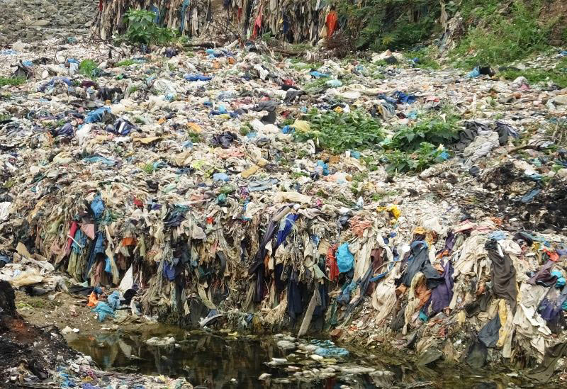 Rừng phòng hộ kêu cứu vì cảnh khủng khiếp khó tin