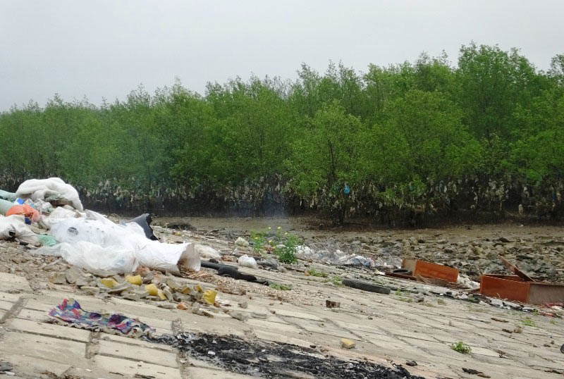 Rừng phòng hộ kêu cứu vì cảnh khủng khiếp khó tin