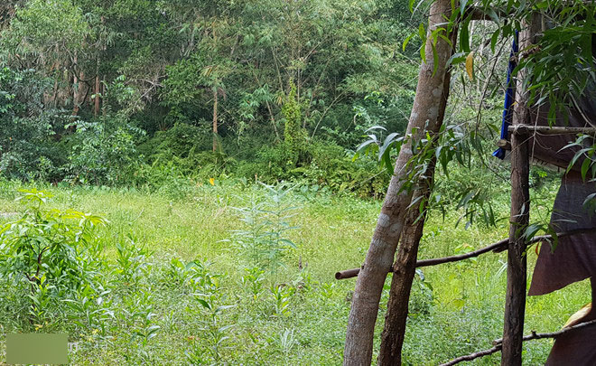 Bán đất rừng như mớ rau, rổ cá trong cơn sốt giá ở Phú Quốc