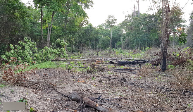 Bán đất rừng như mớ rau, rổ cá trong cơn sốt giá ở Phú Quốc