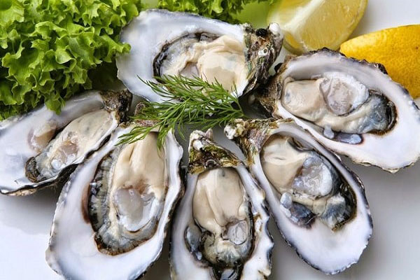 Tinh chất hàu biển- Bí quyết kéo dài thời gian cuộc yêu Tinh chất hàu biển- Bí quyết kéo dài thời gian cuộc yêu