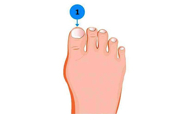 Soi ngay kích cỡ ngón chân để khám phá nhiều bí mật thú vị về tính cách của bản thân Soi ngay kích cỡ ngón chân để khám phá nhiều bí mật thú vị về tính cách của bản thân
