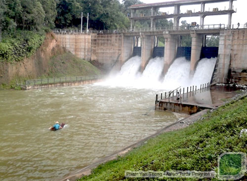 Rùa quý hiếm ở Đồng Mô được phát hiện và bảo vệ thế nào?
