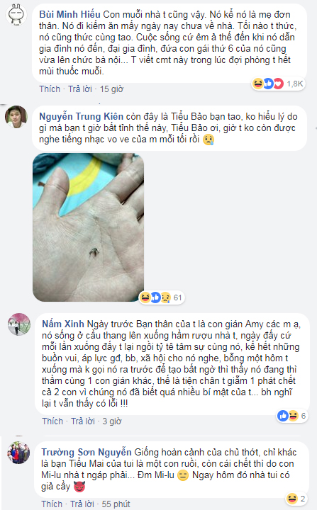 Câu chuyện hài hước Cậu chủ và con muỗi đang được cư dân mạng chia sẻ rầm rộ nhất hôm nay