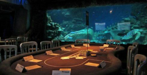 Sòng bạc bị hack qua nhiệt kế thông minh của bể cá cảnh