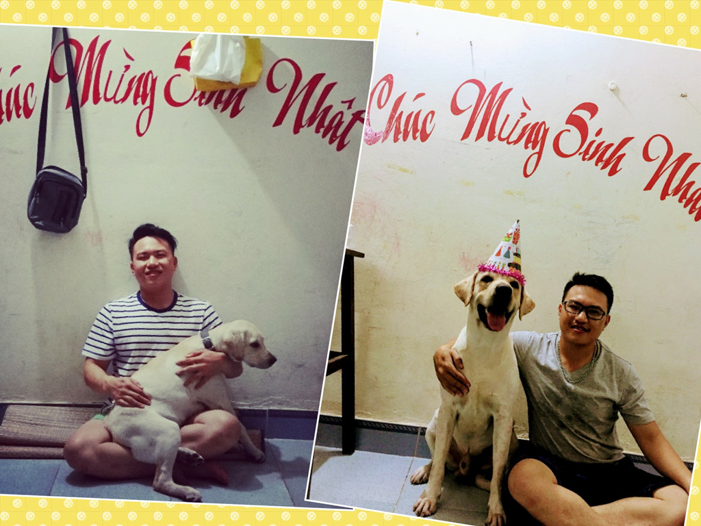 Chú chó Củ Cải gây bão mạng với màn nhớ tên đội bóng, làm toán