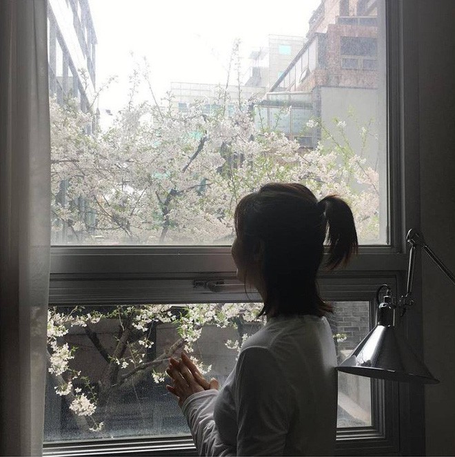 Ha Ji Won: Phụ nữ mạnh mẽ đến mấy cũng cần một bờ vai để bớt chênh vênh Ha Ji Won: Phụ nữ mạnh mẽ đến mấy cũng cần một bờ vai để bớt chênh vênh