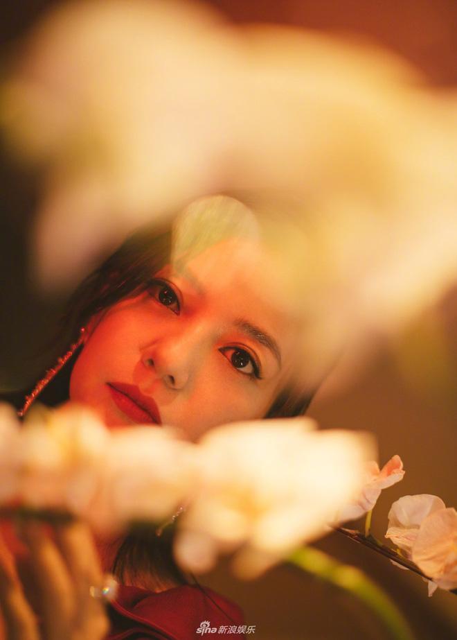 Vừa bị chê tăng cân, béo phì, Triệu Vy tung loạt ảnh mới khác một trời một vực