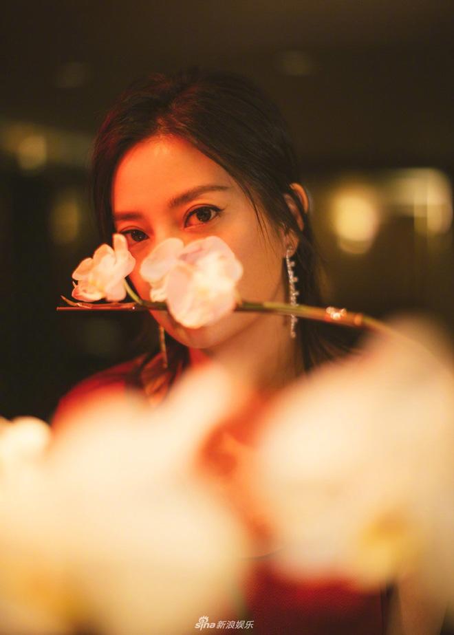 Vừa bị chê tăng cân, béo phì, Triệu Vy tung loạt ảnh mới khác một trời một vực Vừa bị chê tăng cân, béo phì, Triệu Vy tung loạt ảnh mới khác một trời một vực