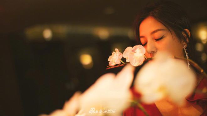 Vừa bị chê tăng cân, béo phì, Triệu Vy tung loạt ảnh mới khác một trời một vực Vừa bị chê tăng cân, béo phì, Triệu Vy tung loạt ảnh mới khác một trời một vực