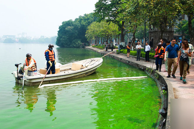 Sáng 17/4 nước Hồ Gươm bỗng xanh bất thường, phát hiện có tảo độc