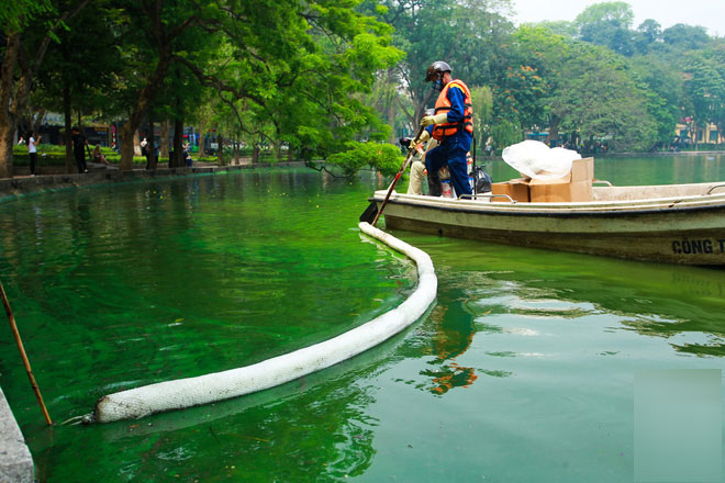 Sáng 17/4 nước Hồ Gươm bỗng xanh bất thường, phát hiện có tảo độc