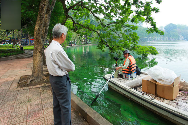 Sáng 17/4 nước Hồ Gươm bỗng xanh bất thường, phát hiện có tảo độc Sáng 17/4 nước Hồ Gươm bỗng xanh bất thường, phát hiện có tảo độc