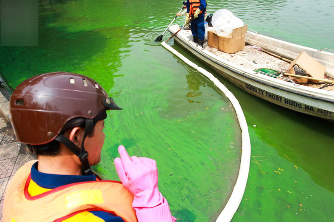 Sáng 17/4 nước Hồ Gươm bỗng xanh bất thường, phát hiện có tảo độc Sáng 17/4 nước Hồ Gươm bỗng xanh bất thường, phát hiện có tảo độc